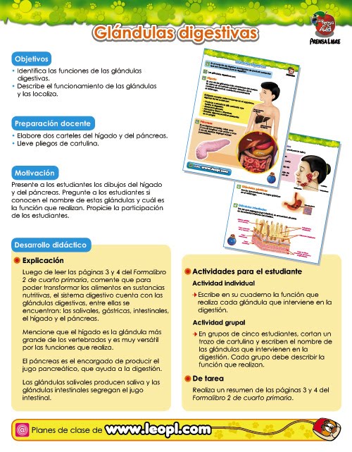 Dirección Artística