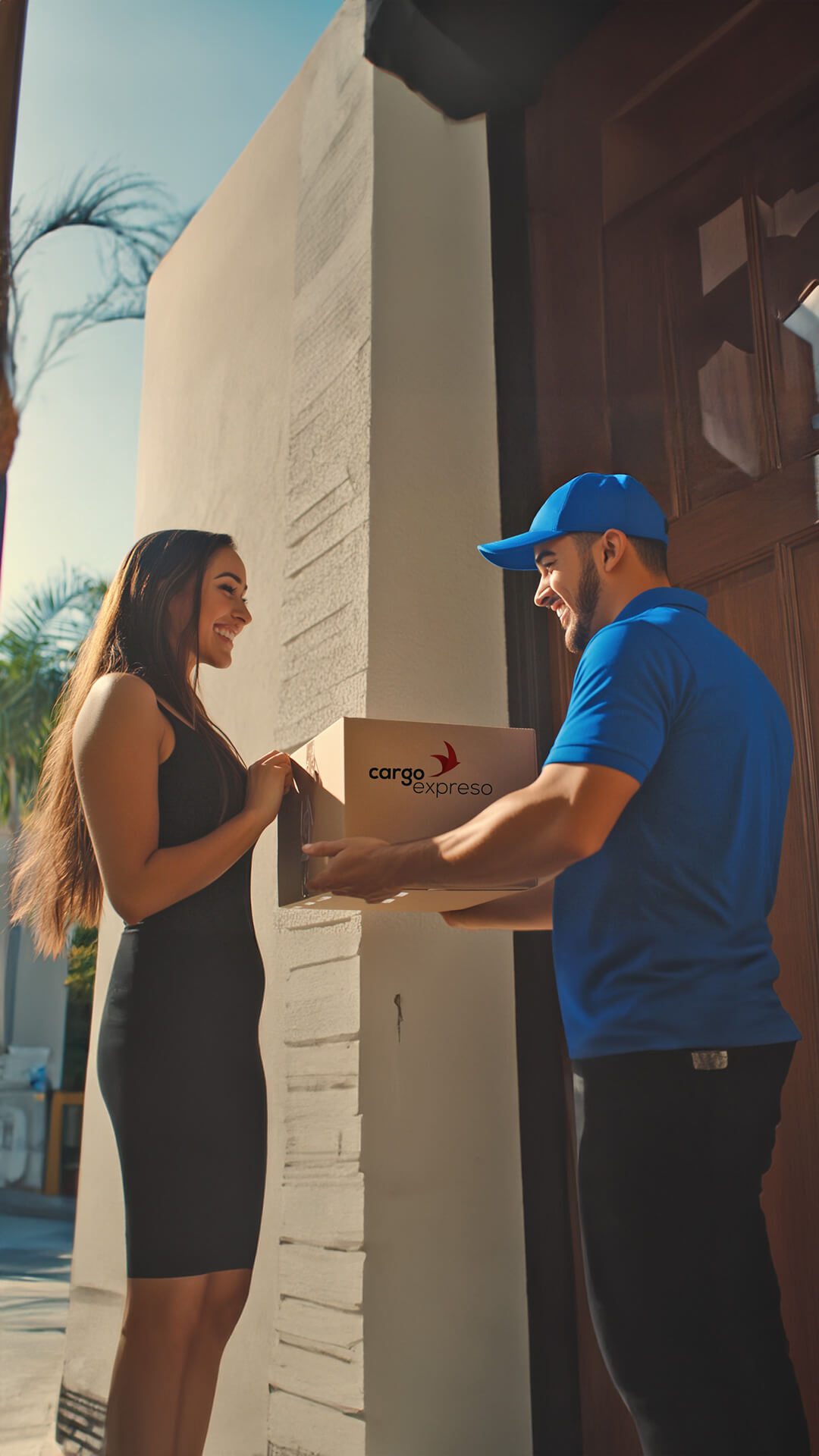 Material de promoción digital